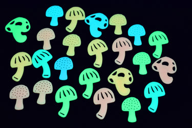 24 Piece Glow in the Dark Multicolor Groovy Mushrooms Wall Ceiling Decor